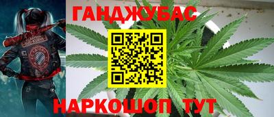 гашиш Гатчина