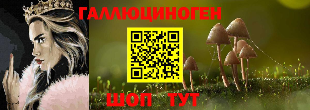 Звенигород  Галлюциногенные грибы мухоморы  Вход с VPN 